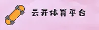 使用指南与常见问题